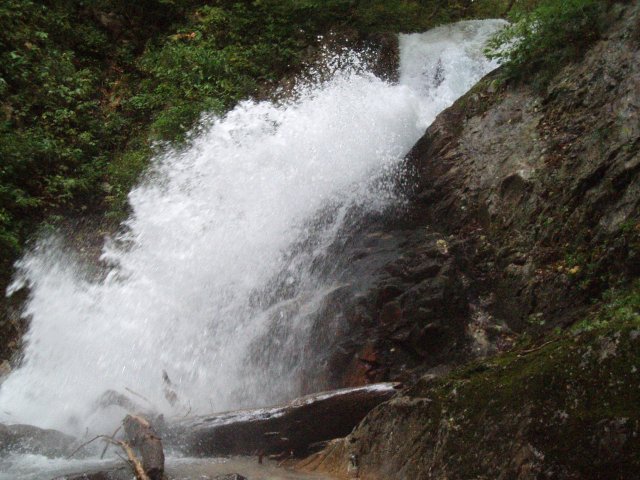n20.jpg