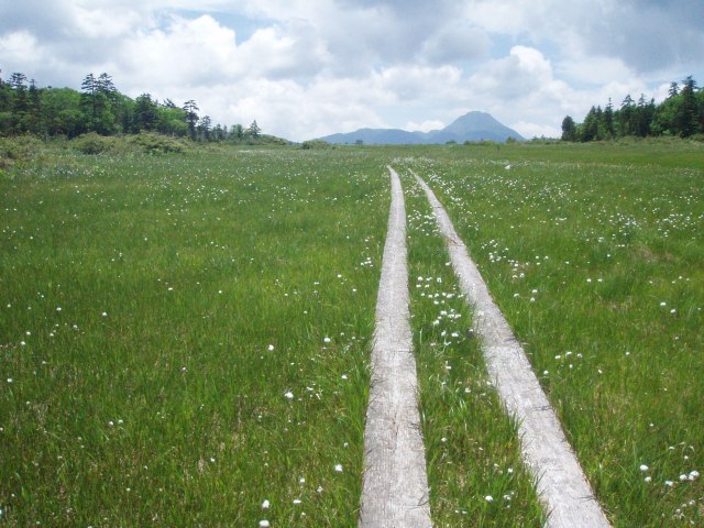 n41.jpg