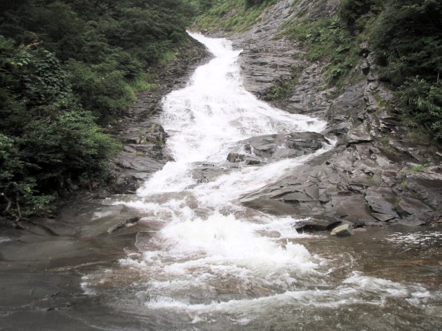 n42.jpg