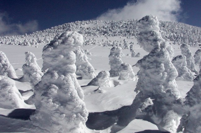 n04.jpg